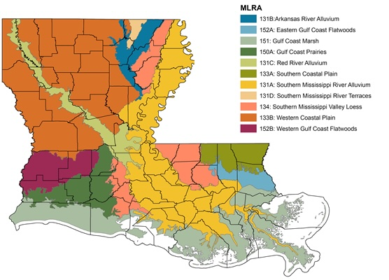 Map of Louisiana's soil composition, used by fack-law.com to show the 3 Gulf States' geographical diversity.