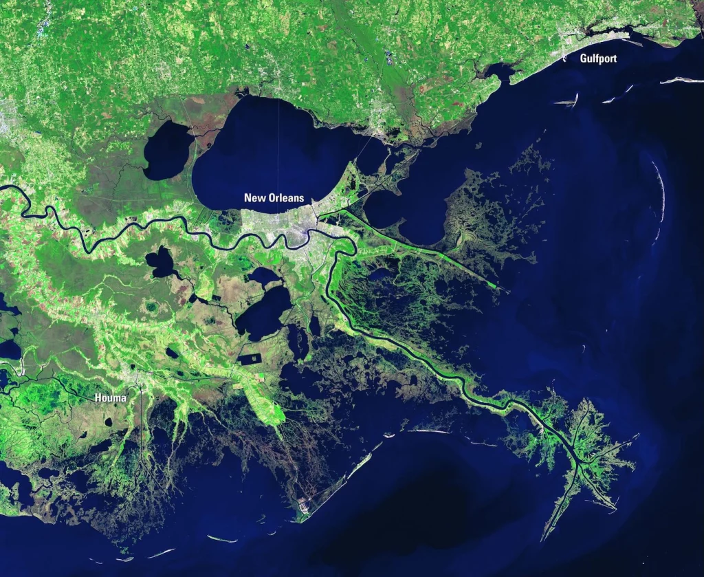 Picture of the Mouth of Miss. River, used by fack-law.com to show the 3 Gulf States' regional connectivity.