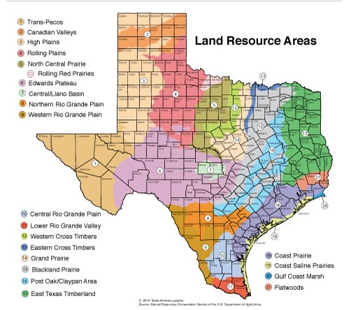Map of Texas land resource areas, used by fack-law.com to show the 3 Gulf States' geographical diversity.